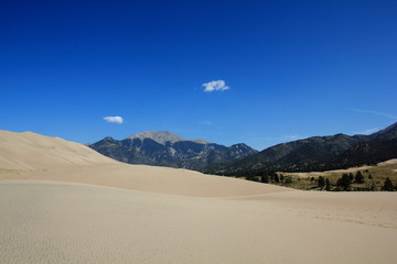 Fototapeta na wymiar Sanddünen im Great Sand Dunes Nationalpark Colorado USA