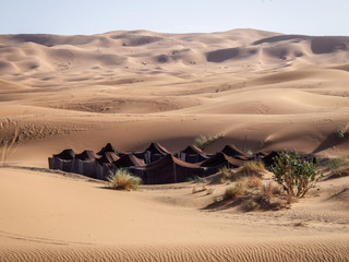 Berber camp Sahara Desert