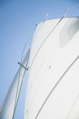 Fototapeta premium sailing day
