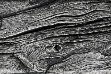 wood grain close up