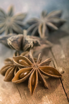 Sternanis