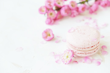 Fototapeta na wymiar Traditional French blueberry strawberry cranberry macaroons dessert biscuits with beautiful flowers arrangement on white gray concrete textured background table top. Tasty but unhealthy food.