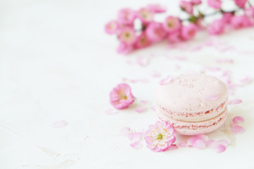 Obraz na płótnie Canvas Traditional French blueberry strawberry cranberry macaroons dessert biscuits with beautiful flowers arrangement on white gray concrete textured background table top. Tasty but unhealthy food.