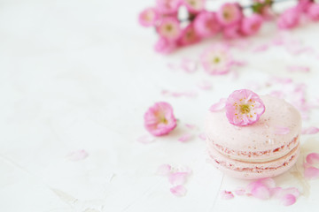 Traditional French blueberry strawberry cranberry macaroons dessert biscuits with beautiful flowers arrangement on white gray concrete textured background table top. Tasty but unhealthy food.