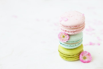 Traditional French blueberry strawberry cranberry macaroons dessert biscuits with beautiful flowers arrangement on white gray concrete textured background table top. Tasty but unhealthy food.
