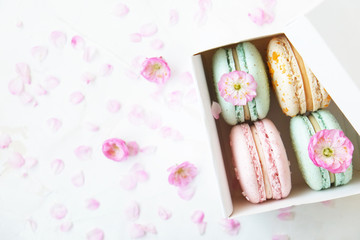 Traditional French blueberry strawberry cranberry macaroons dessert biscuits with beautiful flowers arrangement on white gray concrete textured background table top. Tasty but unhealthy food.