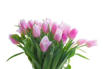 Bouquet of tulips flowers