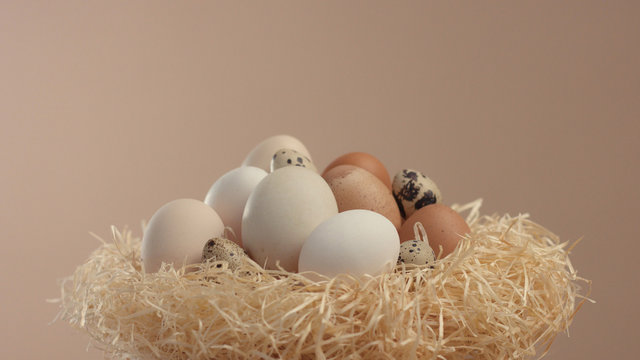 nest with a different eggs shell. Easter eggs in nest