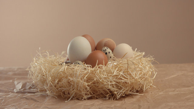 nest with a different eggs. Easter eggs in nest