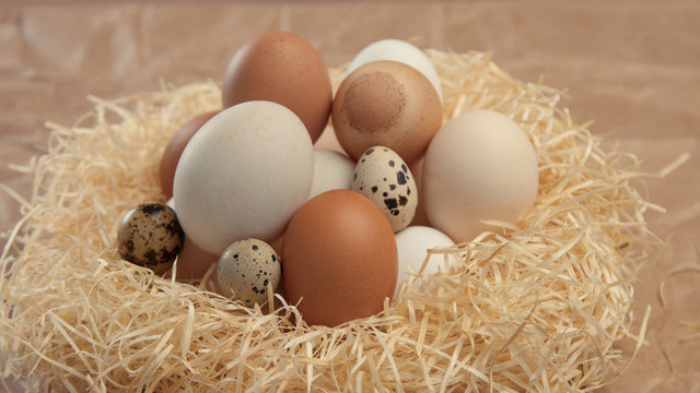 nest with a different eggs. Easter eggs in nest