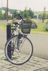 Fototapeta na wymiar Bicycle parked in the city park