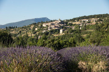 Fototapeta na wymiar a lavender field with the village of Aurel beyond, the Vaucluse, Provence, France