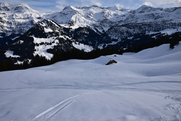 Fototapeta na wymiar Oberland bernois en hiver en Suisse