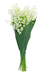 Lilly of the valley flowers