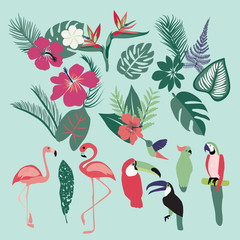Palm leaves, tropical plants, flowers, leaves, birds, birds, flamingo, toucan, parrots