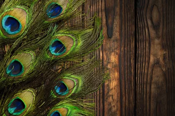 Papier Peint photo Paon Peacock feathers decorate a vertically dark wooden brown Board