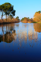 Au milieu du canal se reflète la nature