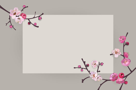 Elegant frame design with sakura blooming branches  with place for your text