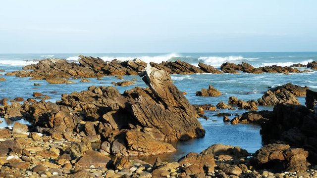 South Africa Agulhas coastline