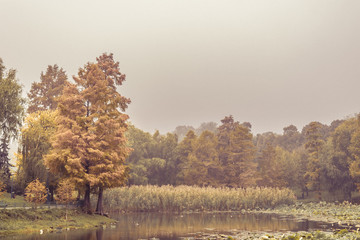 Beautiful landscape from Circus park from Bucharest