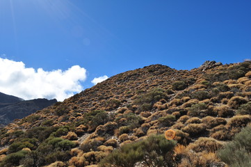 teneriffa