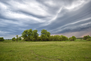 Green field and blue sky