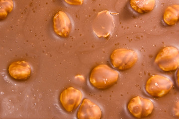 Background of the dark chocolate with a hazelnuts