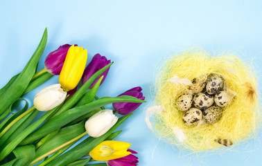 tulips, and bird dreaming on a blue background