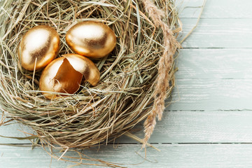 Golden eggs in the nest, one broken egg