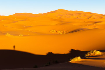 Fototapeta premium Sahara dunes in Merzouga, Africa - The grand Dune of Merzouga