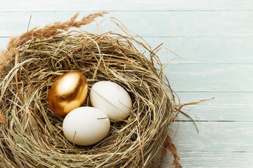 One gold and two ordinary eggs in the hay nest on light wooden bacground