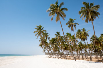 Beach of Salalah, Sultanate of Oman