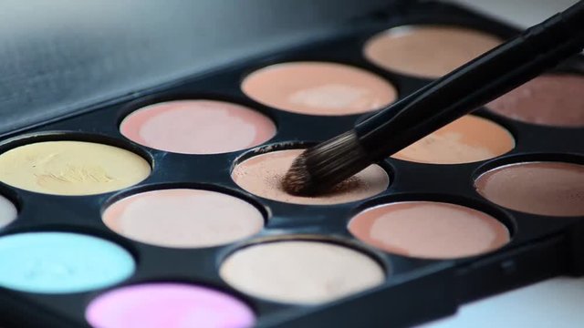 Brush tastes palette of concealer