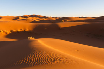 Fototapeta na wymiar Sahara dunes in Merzouga, Africa - The grand Dune of Merzouga