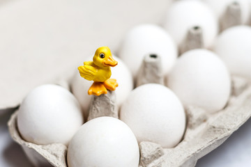 Close up of one egg in the eggs package yellow easter duckling