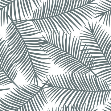 gray palm leaves on a white background exotic tropical hawaii seamless pattern vector