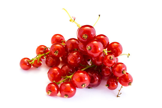 Rot Rote Johannisbeere Johannisbeeren isoliert freigestellt auf wei&szlig;en Hintergrund, Freisteller