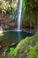 Fototapeta na wymiar Stream and waterfall in the forest, Madeira, Portugal