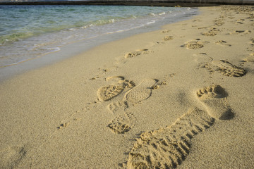 Mediterranean scene, shore of the Mediterranean Sea with barefoot footprints of people in summer