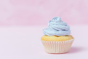 Cupcake decorated with violet buttercream on pastel pink background. Sweet beautiful cake. Horizontal banner, greeting card for birthday, wedding, women's day. Close up photography. Selective focus