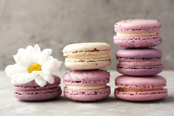 Colorful macarons and white flowers on light table.