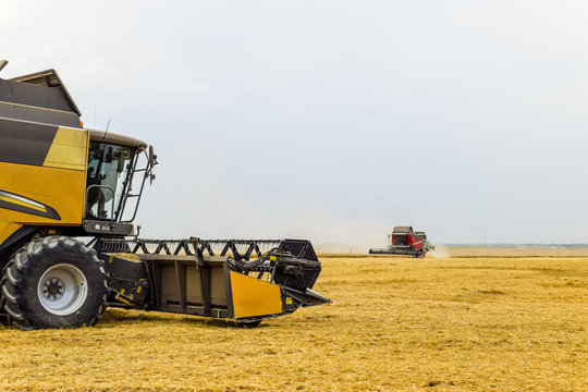 Harvesting wheat with a combine harvester.