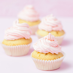 Cupcake decorated with pink buttercream on pastel pink background. Sweet beautiful cake. Square banner, greeting card for birthday, wedding, women's day. Close up photography. Selective focus