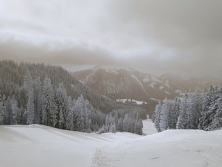 Skiabfahrt im Nebel 