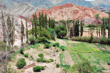 Fototapeta na wymiar Landscape in Pumamarca in the Jujuy region in the North of Argentina.