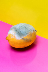 El limón