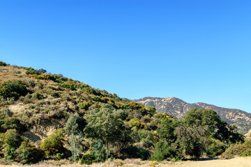 Fototapeta na wymiar Southern California morning hike into mountains