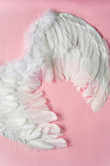 White wings of an angel on a pastel pink background. Feathers. Romantic concept. Flat lay