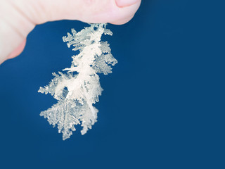 Winter fairy tale, macro image of ice crystals in the human hand. Unusual shape of snowflakes close-up on a blue background. Snow crystals and ice. Natural snowflake in the hands