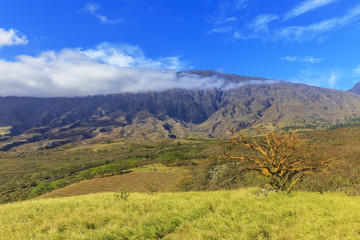 Fototapeta premium Haleakala back road in Maui, Hawaii